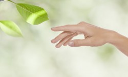 Are You Finding It Hard To Shrug Off The Stress Of Life?